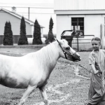 Игровой автомат Bigger Barn House Bonanza с фермерской тематикой