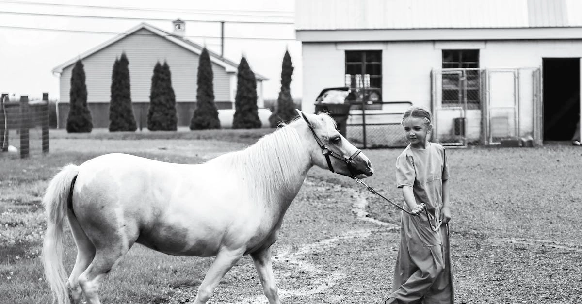 Игровой автомат Bigger Barn House Bonanza с фермерской тематикой