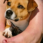 Программы лояльности казино без депозита