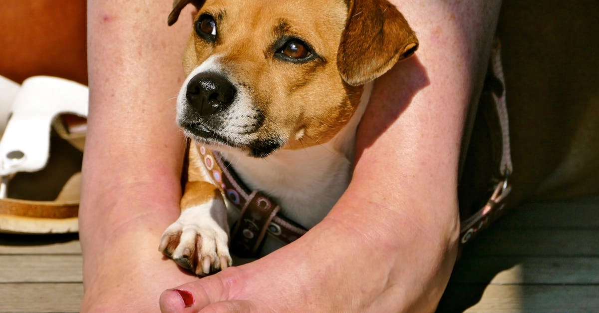 Программы лояльности казино без депозита